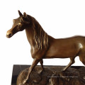 Sculpture en bronze animal Artisanat à simple cheval Statue en laiton Deco Tpal-247